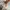 Streetwear Sportswear Hat Pria white photo 5