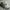 Streetwear Sportswear Hat Pria white photo 3