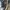 Nike Avant Garde Sneakers Pria gold black photo 7