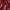 Japanese brand Lolita Coquette Maxi dress Wanita burgundy black photo 3