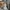 Adidas Streetwear Sportswear Sweater Pria gray photo 5