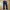 Evisu Indie Casual Other Kids Navy Black