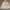 Casual Track jacket Wanita cream photo 3