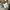 Nike Vintage Sportswear Jersey Pria white photo 5