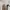 Nike Vintage Sportswear Jersey Pria white photo 4