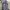 Gorpcore Jumper Pria gray photo 5