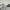 ZARA Vintage Y2K Bandeau top Wanita silver gray photo 4