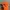 Gorpcore Windbreaker Pria orange photo 3