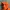 Gorpcore Windbreaker Pria orange photo 2