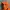 Gorpcore Windbreaker Pria Orange