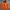Gorpcore Windbreaker Pria orange photo 1