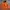 Gorpcore Windbreaker Pria Orange