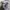 Gorpcore Windbreaker Pria gray photo 4