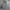 Gorpcore Windbreaker Pria gray photo 1