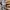 Sportswear Puffer jacket Pria tan cream photo 3