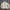 Sportswear Puffer jacket Pria tan cream photo 1