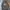Champion Streetwear Reworked Track jacket Pria gray photo 2