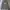 Champion Streetwear Reworked Track jacket Pria gray photo 1