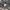 Champion Streetwear Reworked Track jacket Pria gray photo 3