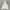 Neighborhood Sportswear Casual Hoody Pria White Black