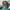 Streetwear Casual Hat Pria green photo 1