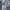 Adidas Streetwear Sportswear Tracksuit Pria blue photo 4