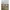 Buzz Ricksons Streetwear Casual Casual pants Pria green brown photo 3