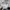 Vintage Streetwear Hat Pria gray photo 3