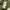 Kodak Vintage Streetwear Sweatshirt Pria green photo 4