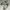 New Balance Streetwear Sportswear Sneakers Wanita white photo 2