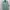 VANS Casual Sweatshirt Pria green photo 1