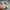 Vintage Streetwear Hat Pria gray photo 4