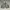 VANS Streetwear Skater Sneakers Pria multicolor photo 4