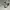 VANS Streetwear Skater Sneakers Pria multicolor photo 1