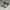 VANS Streetwear Skater Sneakers Pria multicolor photo 2