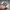 Vintage Streetwear Hat Pria white black photo 4