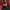 Japanese brand Grunge Goth Hoody Pria red black photo 6