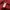 Streetwear Sweater Wanita red photo 5