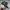 Vintage Streetwear Hat Pria Navy