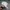 Vintage Streetwear Hat Pria white photo 2