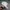 Vintage Streetwear Hat Pria White