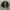 Japanese brand Lolita Indie Parka Wanita green photo 1