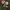 Japanese brand Lolita Indie Parka Wanita green photo 8