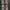 Japanese brand Lolita Indie Parka Wanita green photo 5