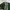 Japanese brand Lolita Indie Parka Wanita green photo 2