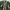 Japanese brand Lolita Indie Parka Wanita green photo 4