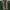 Japanese brand Lolita Indie Parka Wanita green photo 3