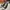 Converse Casual Sneakers Pria black photo 1