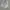 Y2K Coquette Shoulder bag Wanita white photo 1