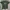 Vintage Y2K T-shirt Pria green photo 1